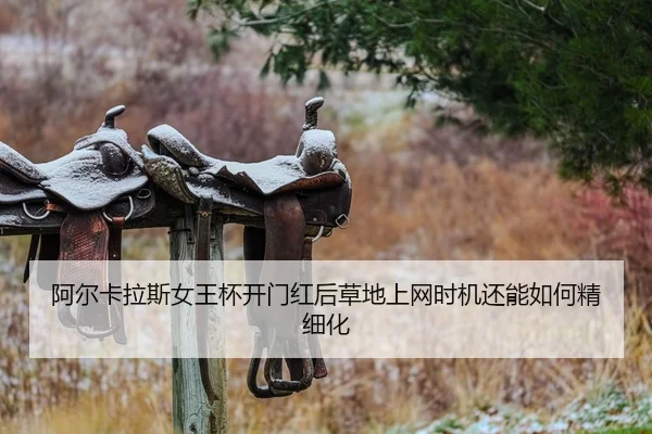 a-er-ka-la-si-nv-wang-bei-kai-men-hong-hou-cao-di-shang-wang-shi-ji-hai-neng-ru-he-jing-xi-hua-2-283.jpg