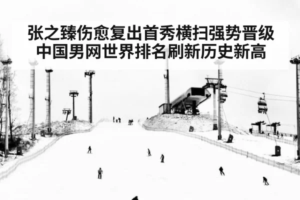 张之臻伤愈复出首秀横扫强势晋级 中国男网世界排名刷新历史新高